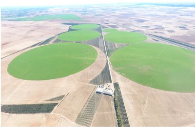 I Triatlón Escolar JJEE de Gallur